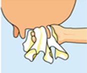 Cleaning Udders