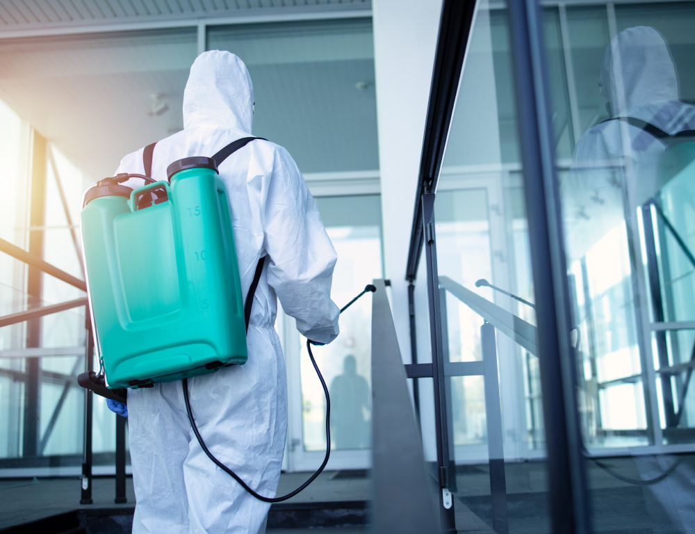 Detergents & Cleaning Agents